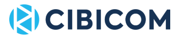 Etablering af Anti DDoS - Mitigation
