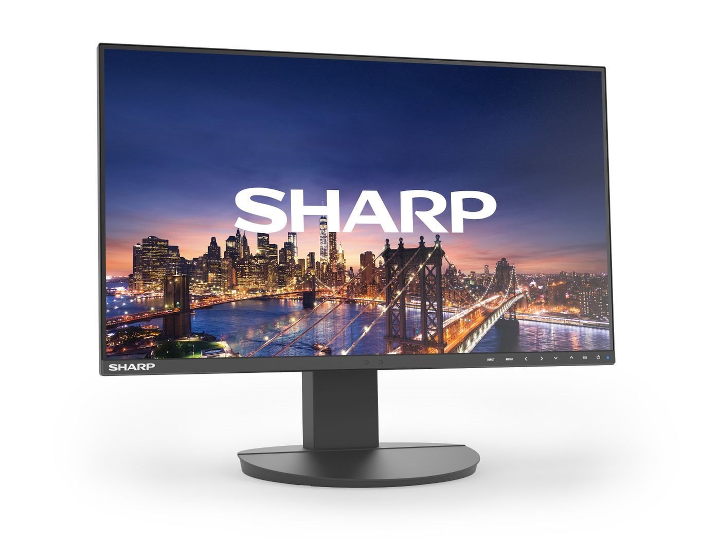Sharp Ea242f, 24" LCD Monitor,