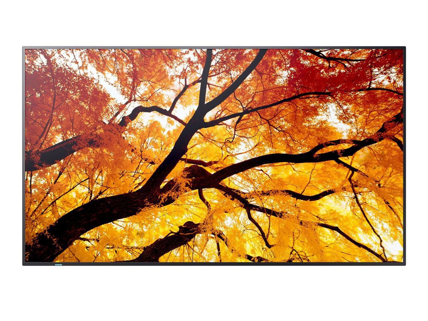 Sharp NEC Display MultiSync M322 32" LCD Digital Signage Display - 24 Hours/7 Days Operation