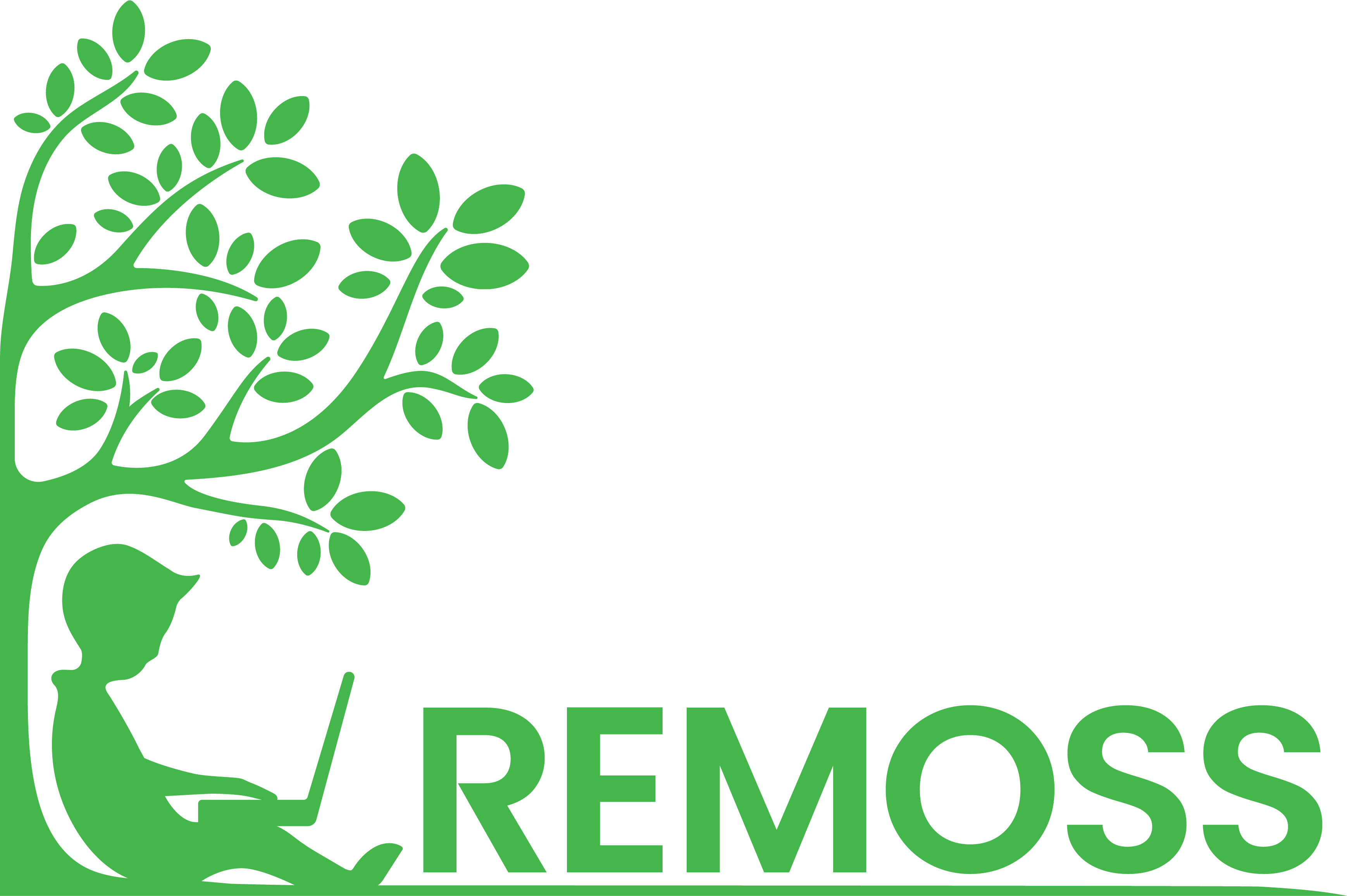 Remoss IT Solutions