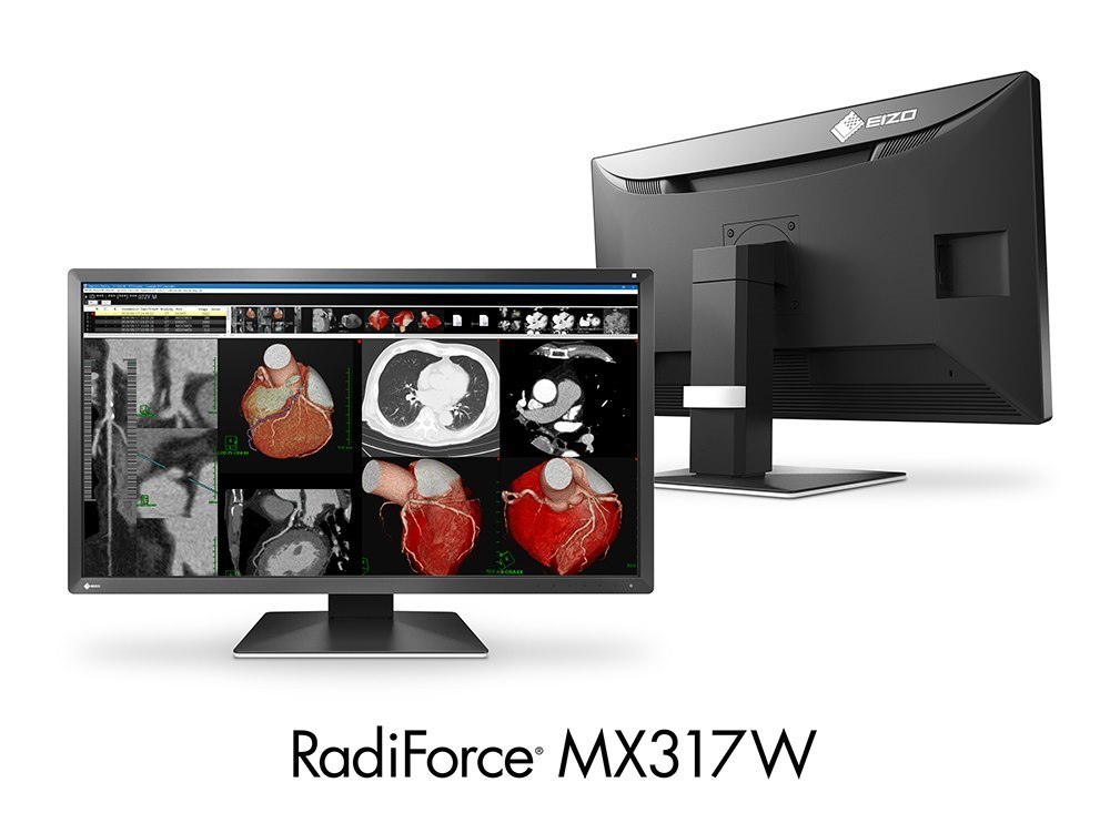 EIZO 30.5" 8MP (4K) Clinical Review Monitor