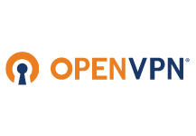 OpenVPN Access Server (12 months)