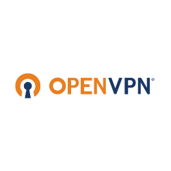 OpenVPN Access Server (12 months)