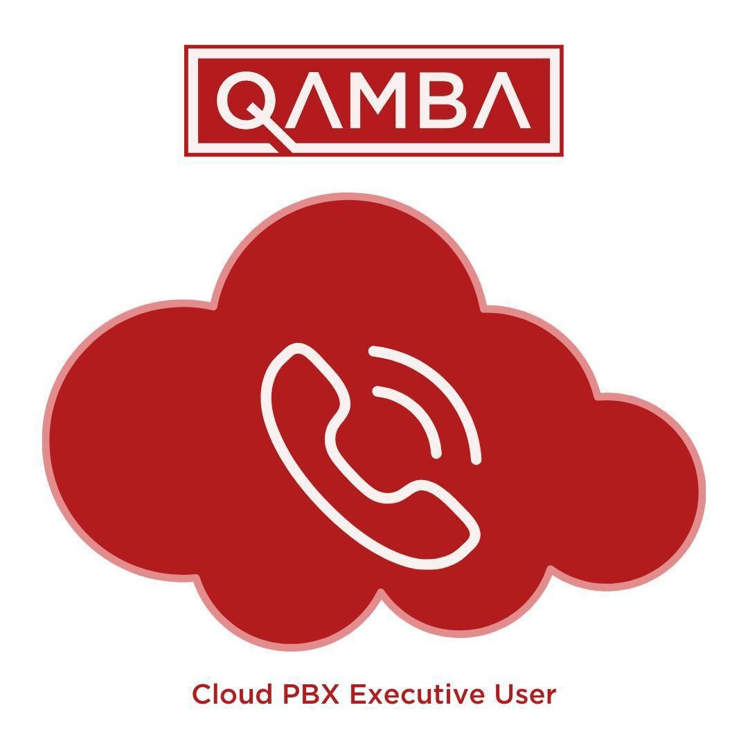 Hosted VOIP PABX with 8 Call Channels - Ultimate License