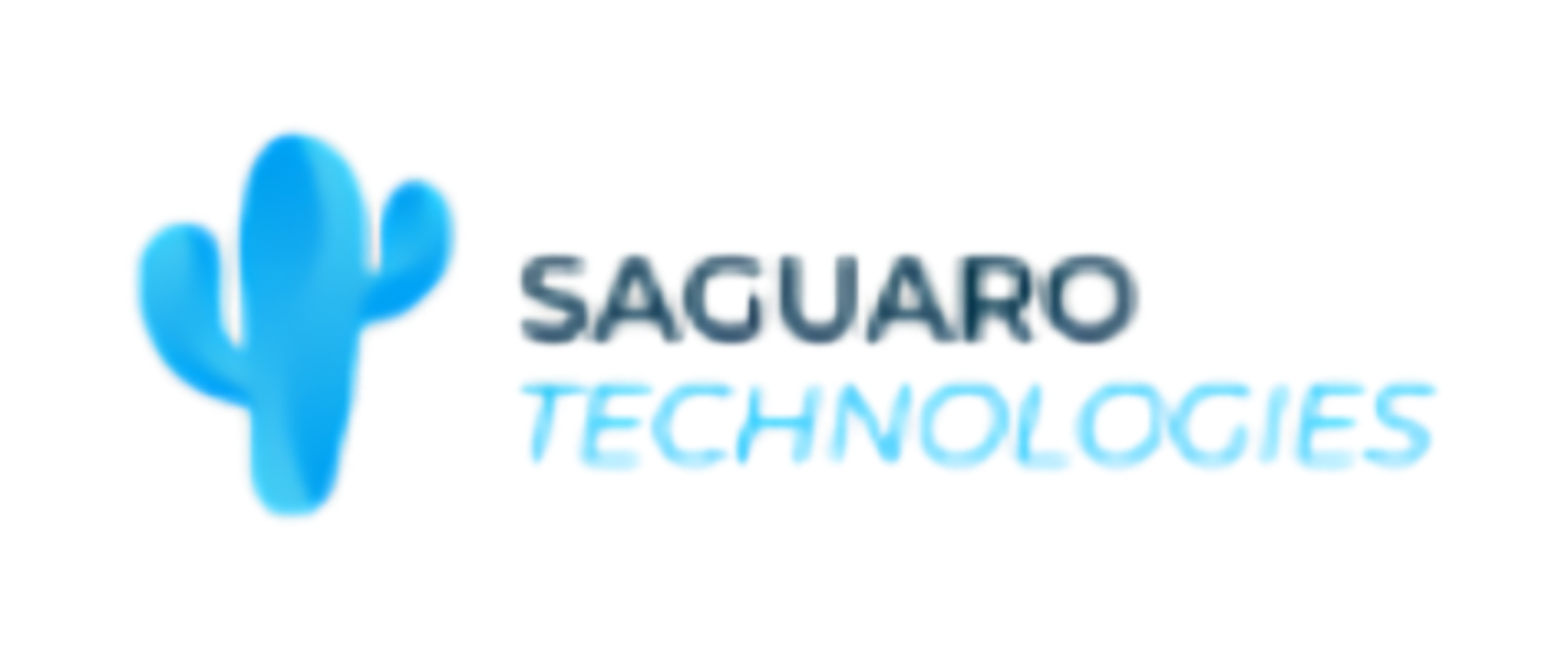 Saguaro Technologies LLC