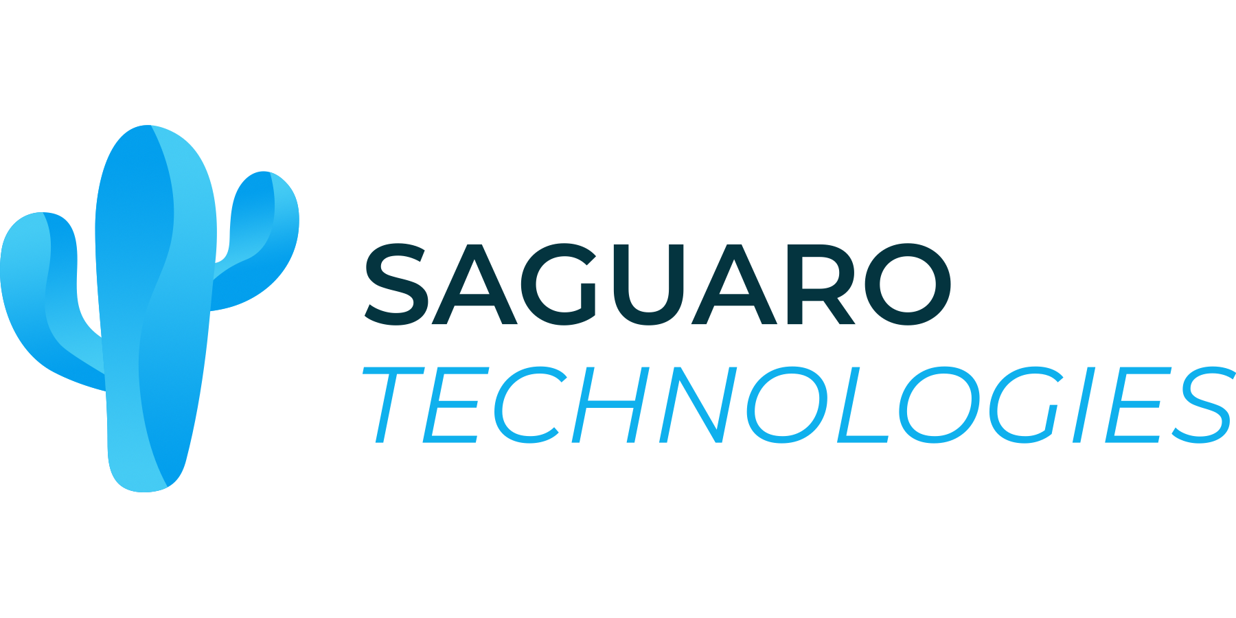 Saguaro Technologies LLC