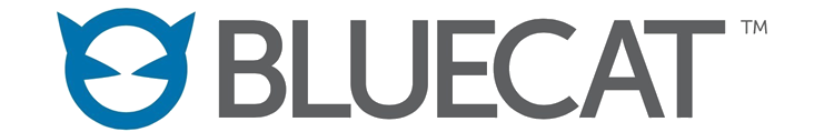 BlueCat One Hour Offsite Consulting