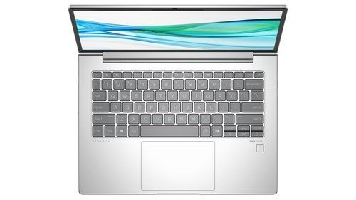 HP ProBook 445 G11 35.6 cm (14") Notebook - WUXGA - AMD Ryzen 5 7535U - 8 GB - 512 GB SSD - Pike Silver