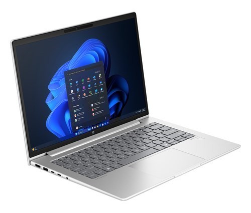 HP ProBook 445 G11 35.6 cm (14") Notebook - WUXGA - AMD Ryzen 5 7535U - 8 GB - 512 GB SSD - Pike Silver