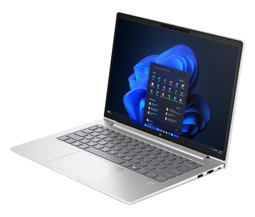 HP ProBook 445 G11 35.6 cm (14") Notebook - WUXGA - AMD Ryzen 5 7535U - 8 GB - 512 GB SSD - Pike Silver
