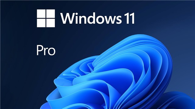 Microsoft Windows 11 Pro 64-bit - License - 1 License