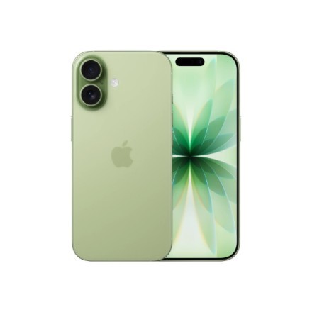 Apple | iPhone 17 | Sage | 6.3 ' | 2622 X 1206 Pixels | Oled | A19 | Internal Ram 8 GB | 256 GB | Dual Sim | Nano Sim |