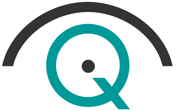 IQinVision 2 MP Vandal-Resistant Network Dome Camera With 2.8MM Lens, Black