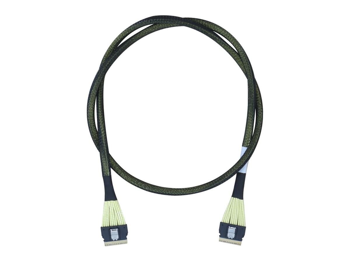 Highpoint Technologies HighPoint SFF-8654 To SFF-8654 1M Nvme C