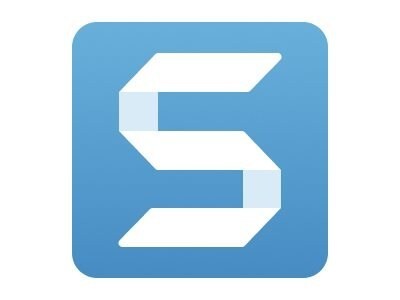 Techsmith Corp. Snagit-25 New License 250-499 Users 3 Year