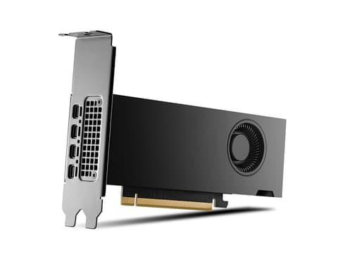PNY NVIDIA RTX 2000 Ada Graphic Card - 16 GB GDDR6 - Low-profile
