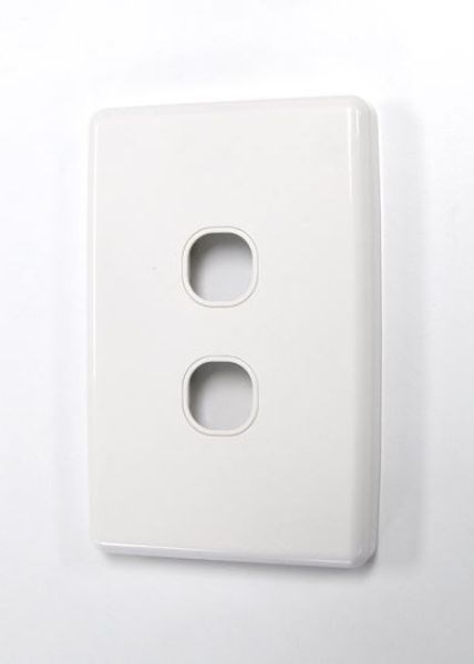 Amdex FP-2PV3 Dual Port Face Plate