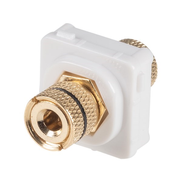 Amdex Black Speaker Binding Post. Gold Plated