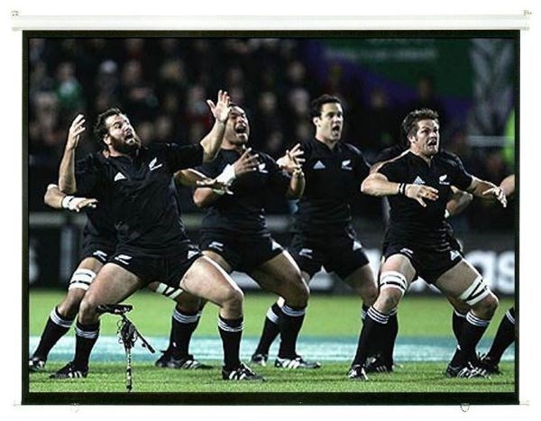 Brateck PRS108M 274.3 cm (108") Manual Projection Screen