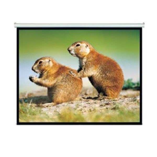 Brateck 150' Projector Screen, Manual Self Locking, Matte Finish. 4:3 Aspect Ratio