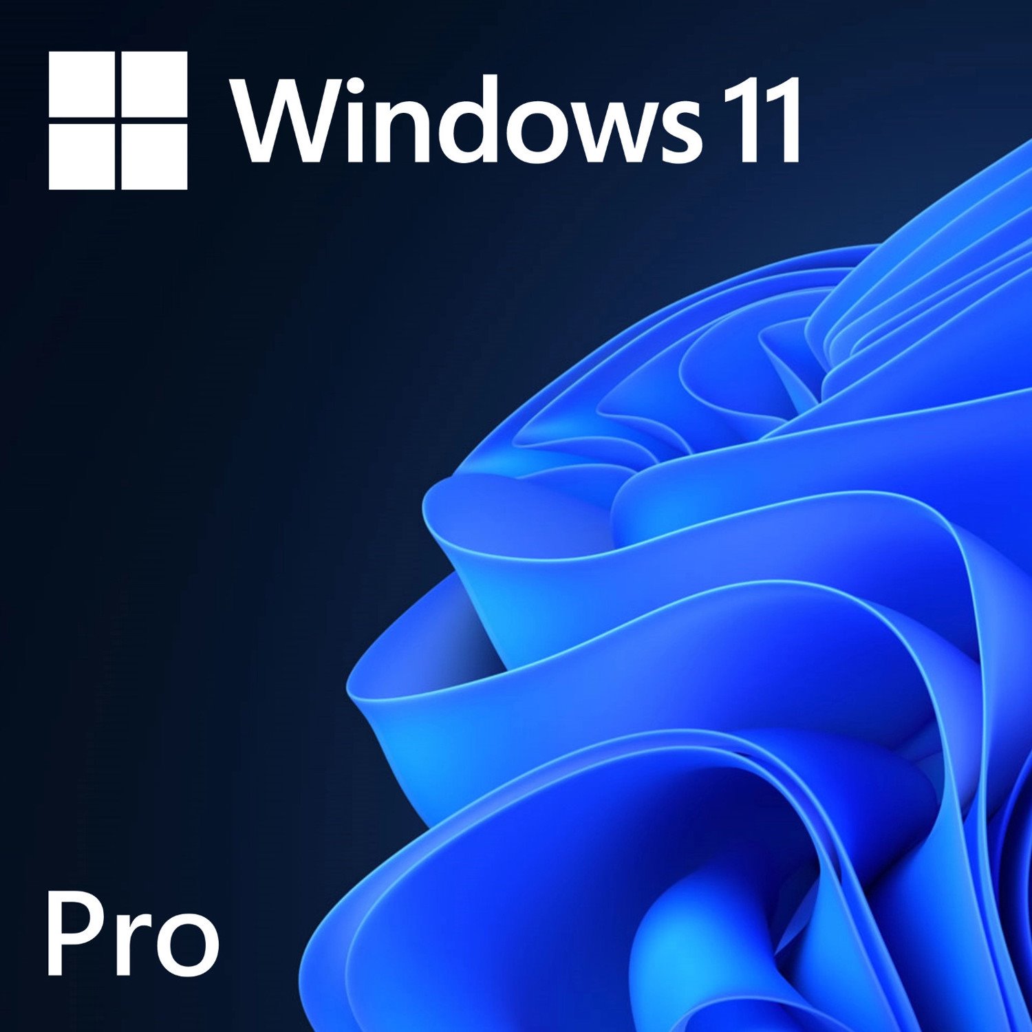 Windows 11 Pro OEM ESD 