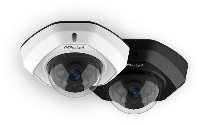 Milesight 2MP, Ai Vandal-Proof Dome Network Camera - IK10-rated Metal Housing, Intelligent Analytics