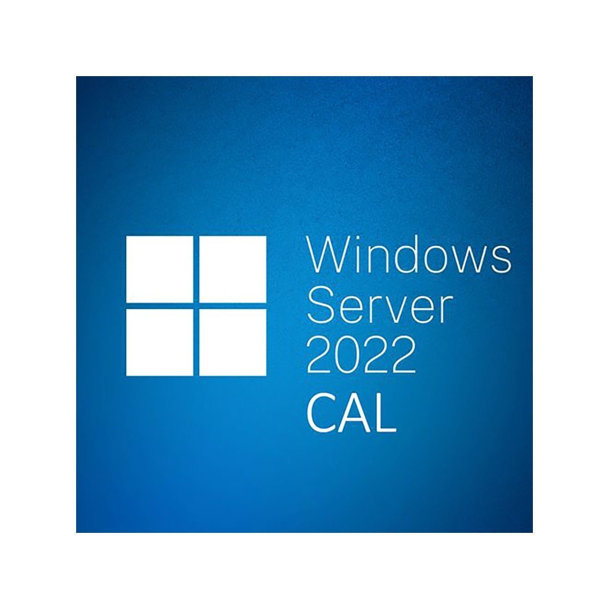 Microsoft Windows Server 2022 - License - 5 User CAL
