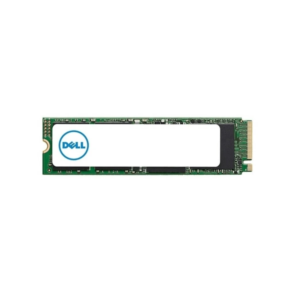 Dell 480 GB Rugged Solid State Drive - M.2 Internal - SATA (SATA/600)