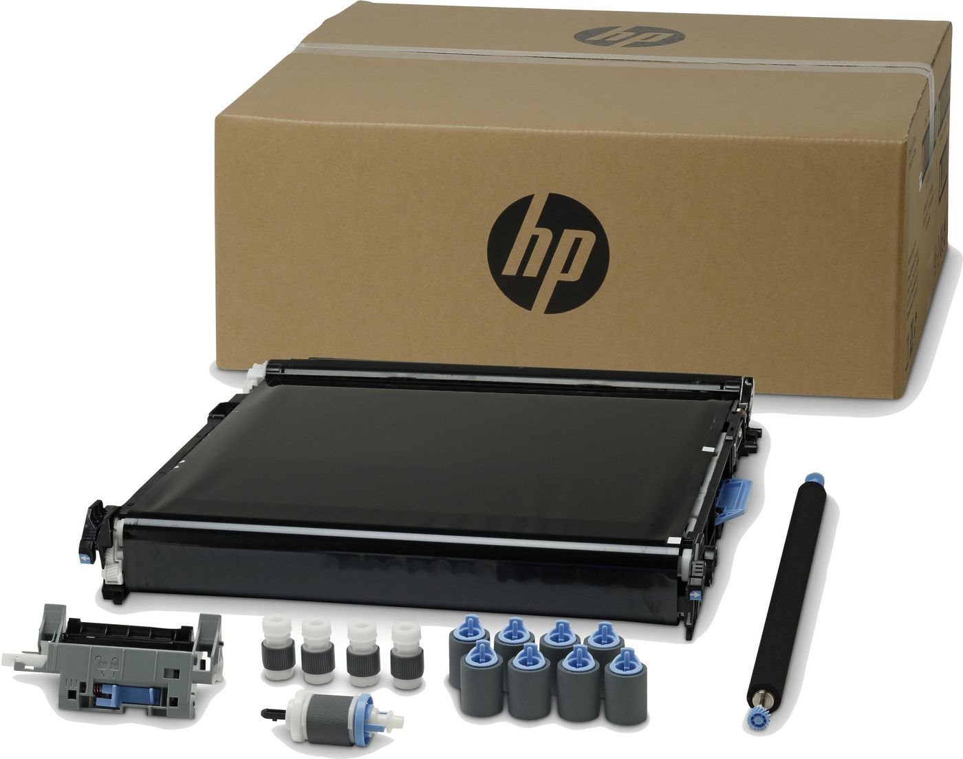 HP Transfer Belt