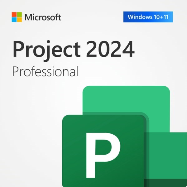 Microsoft Project 2024 Professional - License - 1 Licence