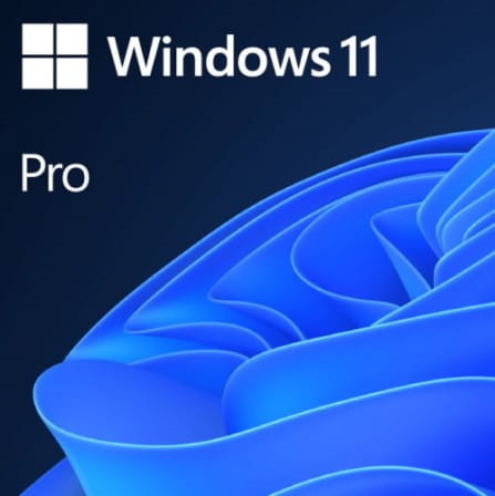 Microsoft Windows 11 Pro (License Only / No DVD)