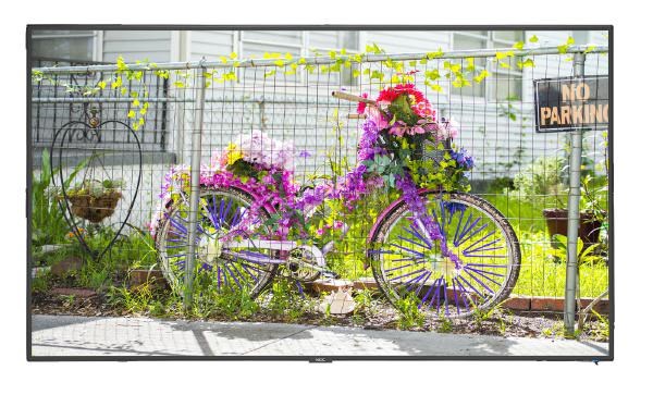 Nec 50" C501 Led Display/ 24/7 Usage/ 16:9/ 1920 X 1080/ 4000:1/ Amva3 Panel/ Vga,Hdmi, DP/ Speakers/ Media Player