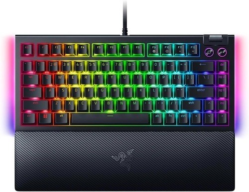 Razer RZR KBD Blackwidow-V4-Mech