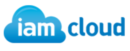 IAM Cloud User