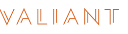 Valiant Technology