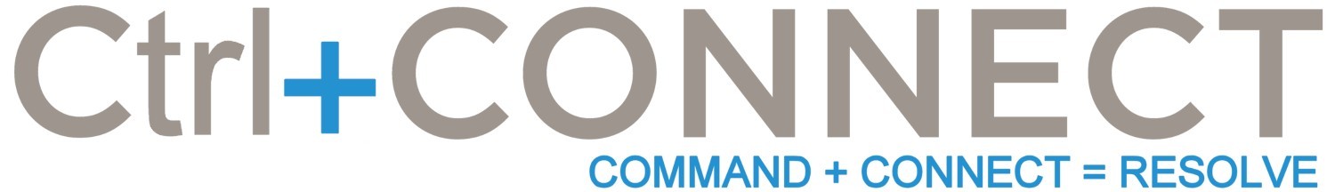 Professional Technology Services