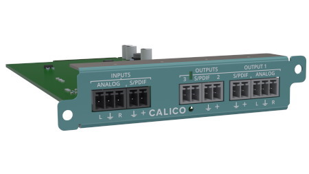 Audio external input and output module