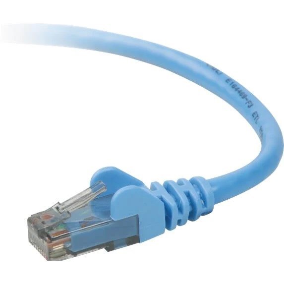 Belkin 1 m Category 6 Network Cable for Network Device