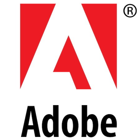 Adobe Acrobat 2020 Standard - License - 1 License