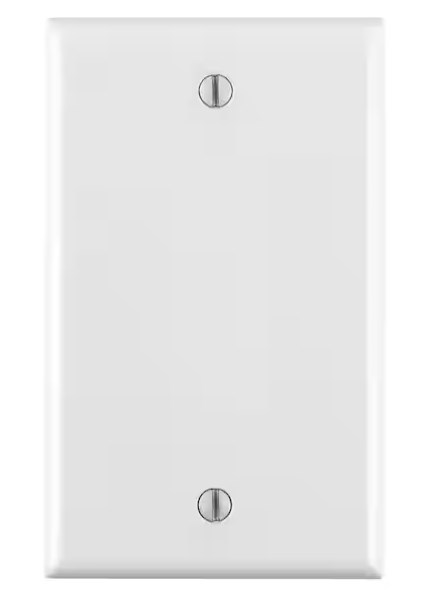 1-Gang White Blank Plate 