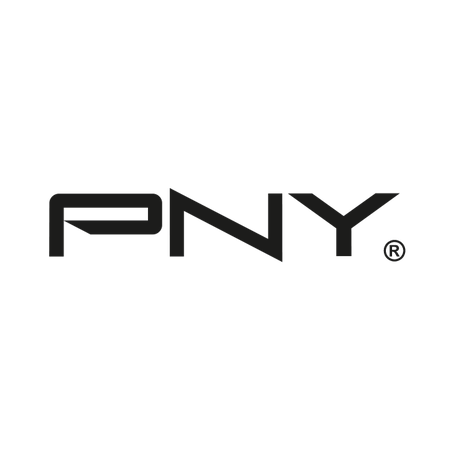 PNY DisplayPort/Mini DisplayPort Audio/Video Cable
