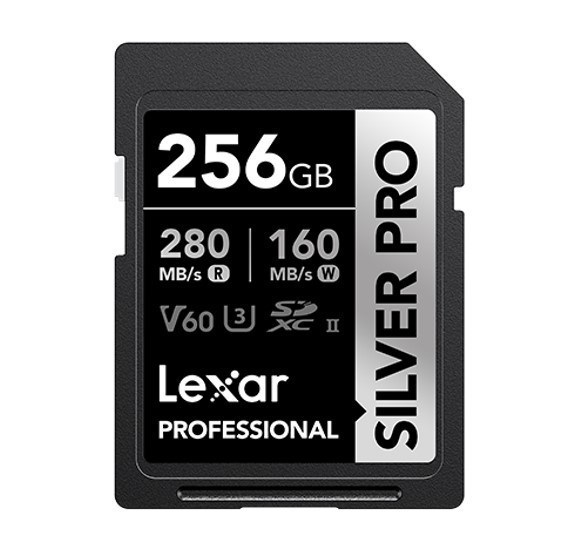 Lexar Media LXR FLS Sd-256Gb-Lsdsipr256g-Bnnng