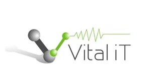 Vital iT 