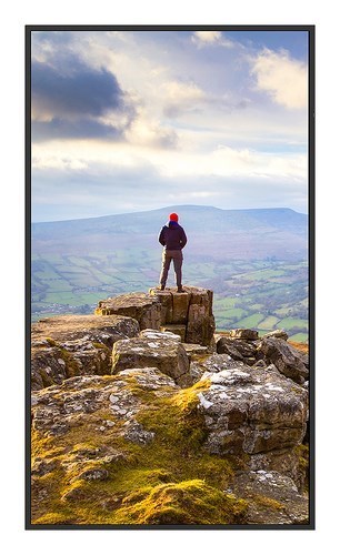 Sharp E439 43 In LFD Uhd 350CD/M2 D-