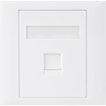 Astrotek CAT5e RJ45 Wall Face Plate 86X86MM 1 Port Socket Kit