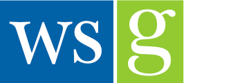 WSG Consulting Inc