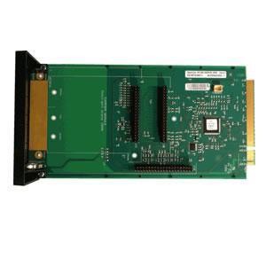 Avaya Interface Cards/Adapter