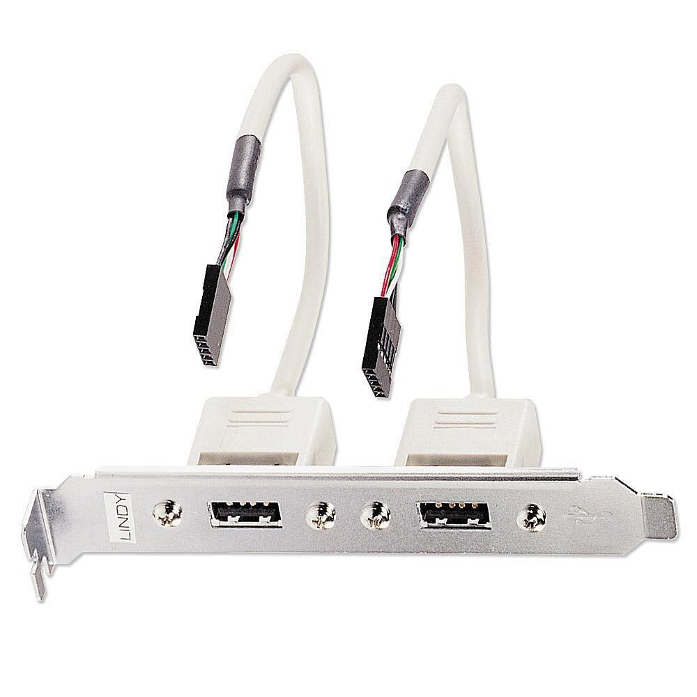 Lindy PC Back Plate, Usb 2.0, 2 Port