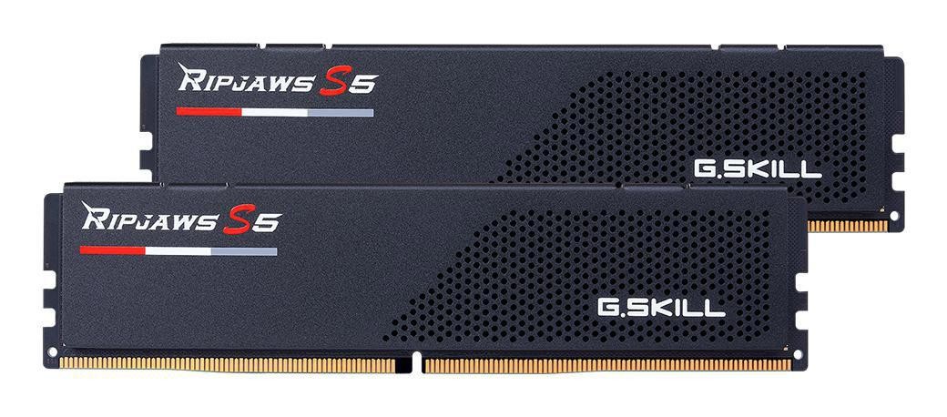G.Skill 32Gx2-Rs5K Memory Module 64