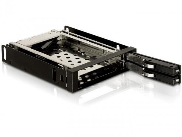 Delock 3.5" Mobile Rack For 2X2,5" Sa